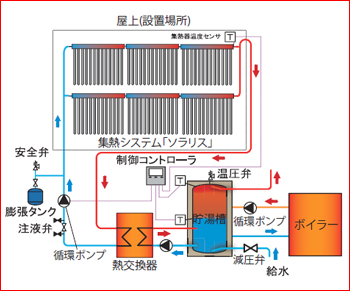 エコ作寸法図